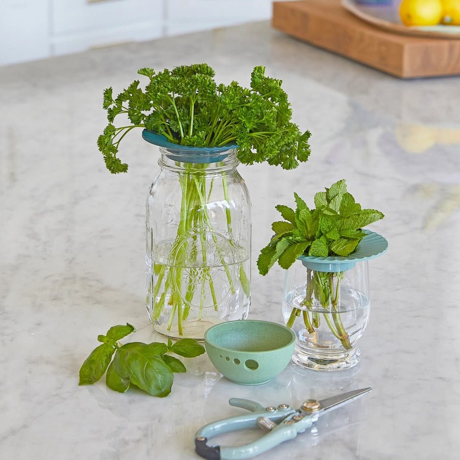 Fresh Herb Keeper – Extend the Life of Your Herbs - Anara Lifestyle