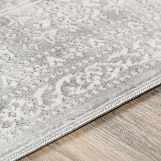 Michie Gray Area Rug – Contemporary Soft Living Room Carpet