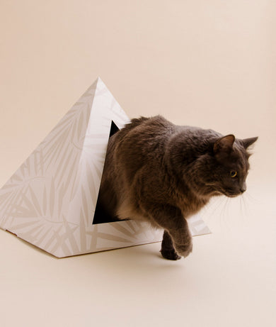 Neutral Palm Cardboard Cat Pyramid | Eco-Friendly Kitty Hideaway