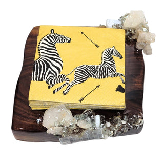 Krystallos Cocktail Napkin Holder