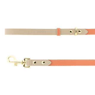 Vegan Leather Dog Leash 4ft | Premium Stylish Pet Lead