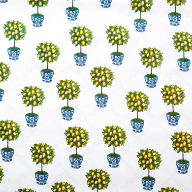 Reversible Lemon Topiary with Trellis Gift Wrap | Elegant Double-Sided Wrap