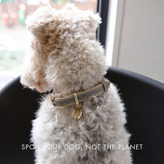 London Vegan Leather Dog Collar | Elegant Saffiano Design for Pets