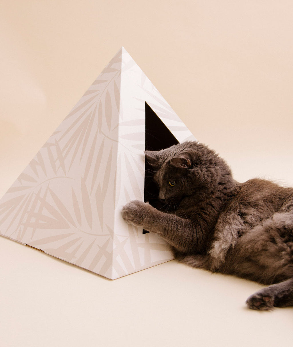 Neutral Palm Cardboard Cat Pyramid | Eco-Friendly Kitty Hideaway