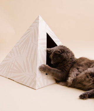 Neutral Palm Cardboard Cat Pyramid | Eco-Friendly Kitty Hideaway