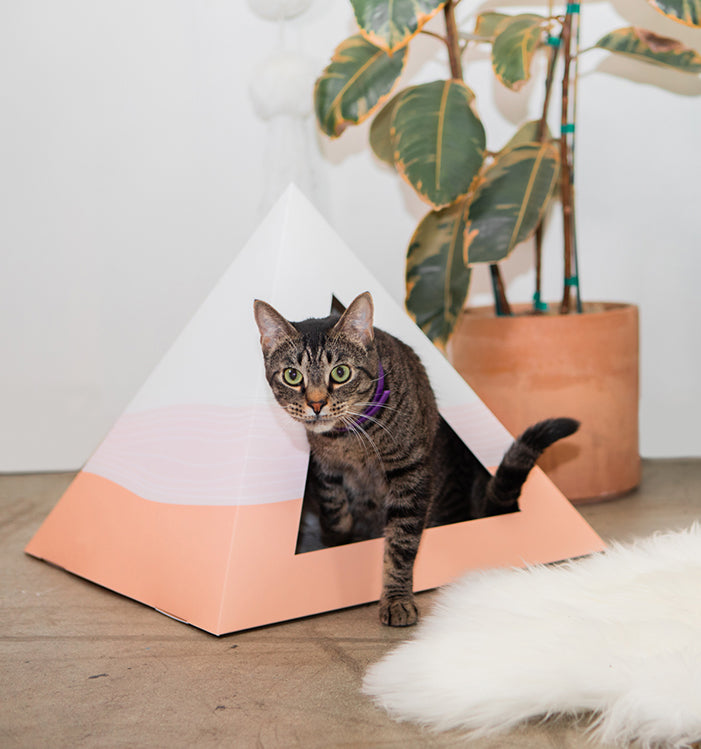 Wavey Cardboard Cat Pyramid | Modern Eco-Friendly Cat Hideaway