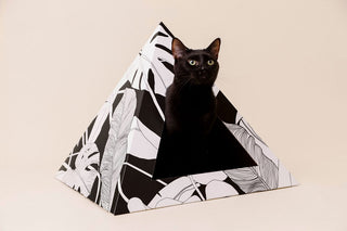 Dark Paradise Cardboard Cat Pyramid | Modern Eco-Friendly Cat Hideaway