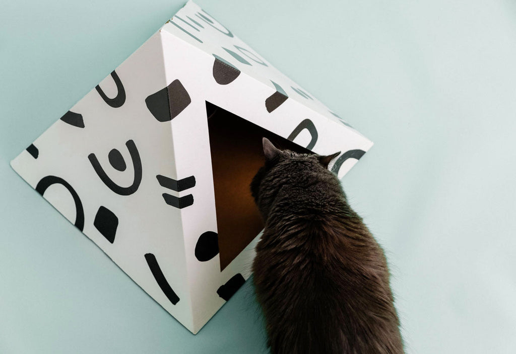 Doodle Cardboard Cat Pyramid | Playful Eco-Friendly Cat Hideaway