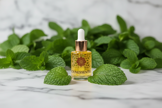 Moroccan Peppermint Essential Oil - 15ml