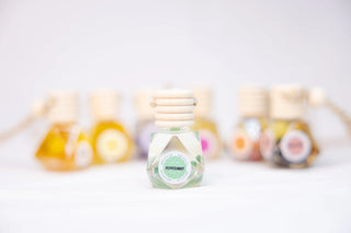 Crystals Infused Car diffusers