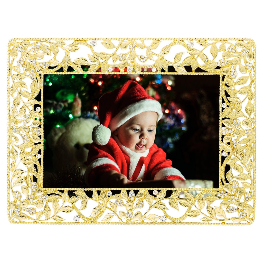 Festoon Picture Frame