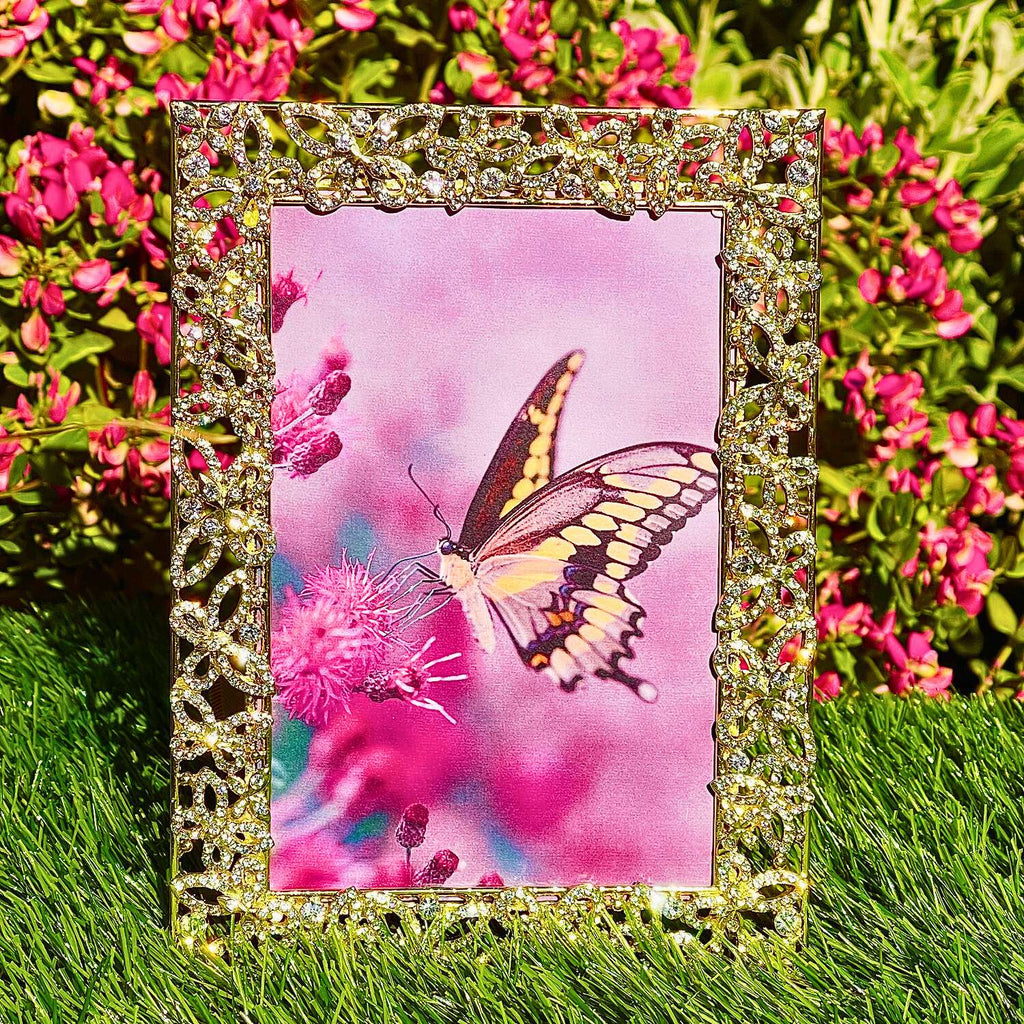 Papillon with Crystals 4