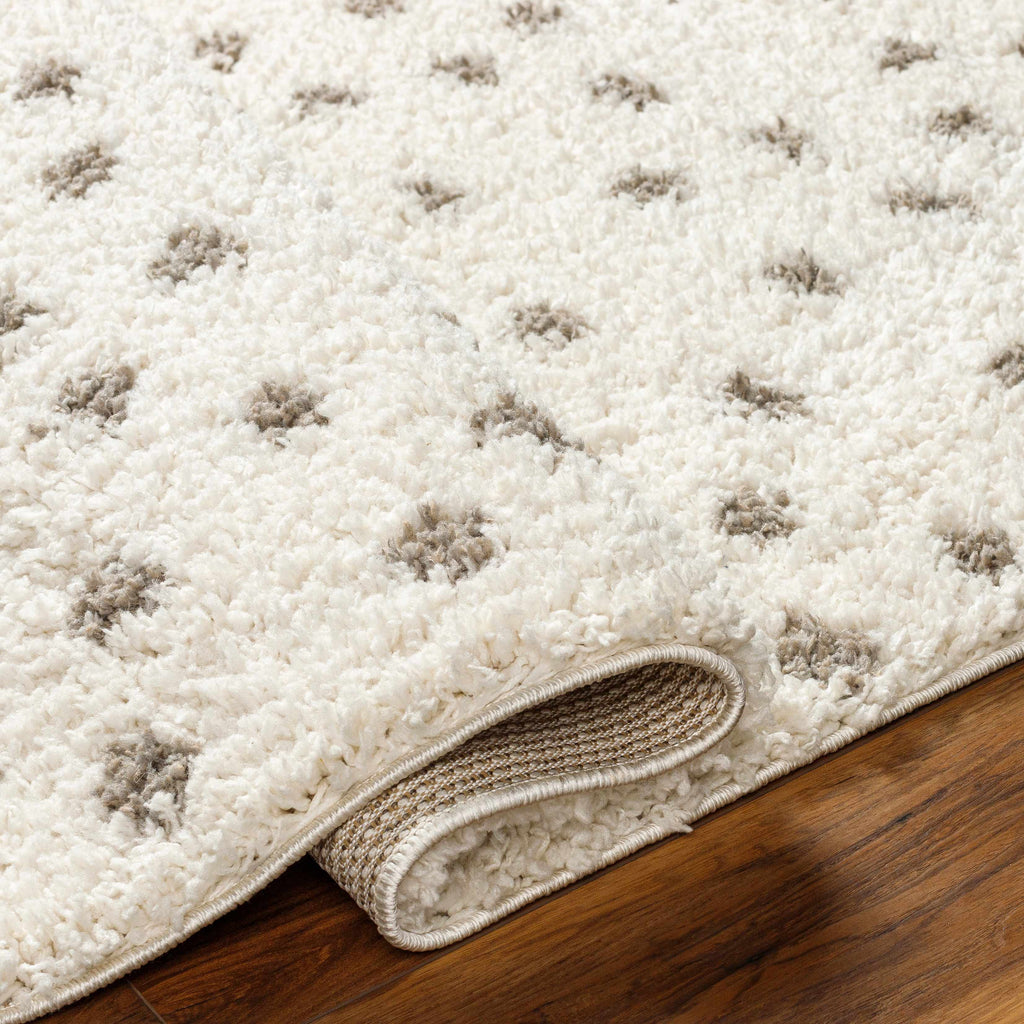 Chaia Dotted Cream Gray Plush Rug – Soft Modern Living Room Rug