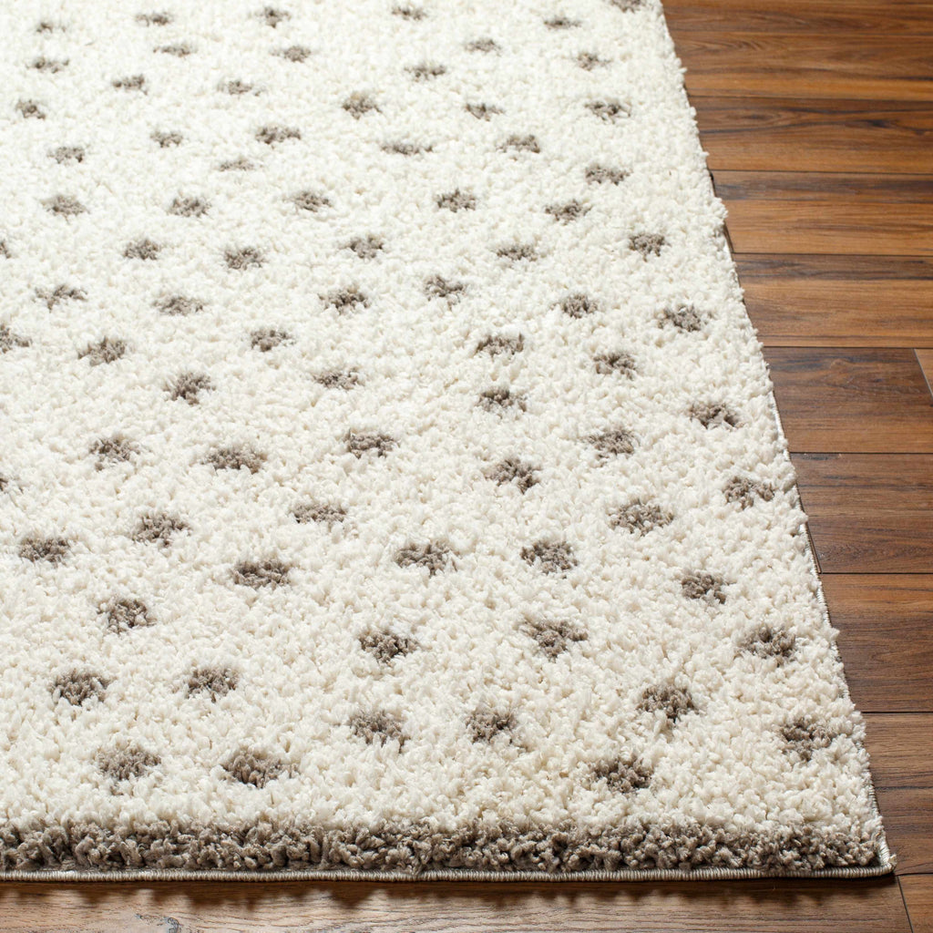 Chaia Dotted Cream Gray Plush Rug – Soft Modern Living Room Rug