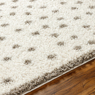 Chaia Dotted Cream Gray Plush Rug – Soft Modern Living Room Rug