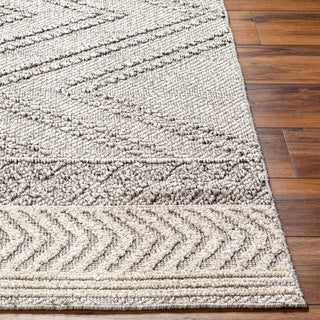 Beige Gray Areli Area Rug – Modern Neutral Washable Floor Carpet