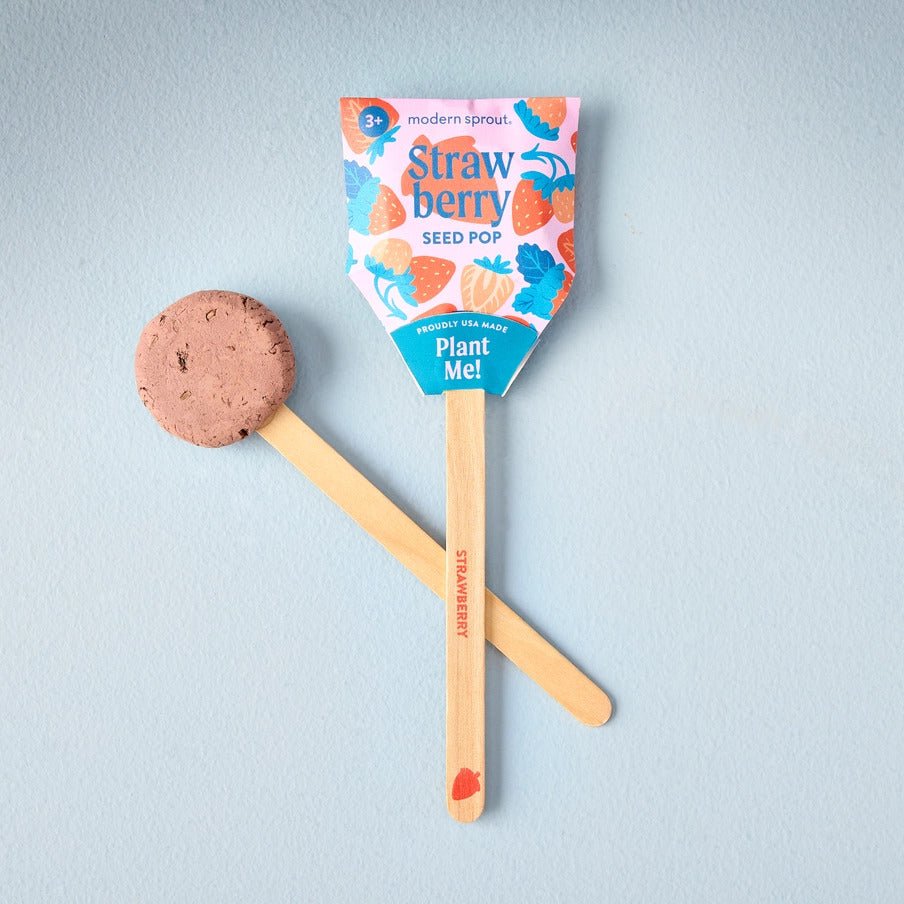 Strawberry Seed Pop – Fun & Easy Planting for All Ages! - Anara Lifestyle