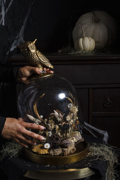 STRIX OWL COLLECTION - Anara Lifestyle