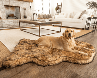 PupRug by Paw.com® Faux Fur Orthopedic Dog Bed – Curve Sable Tan