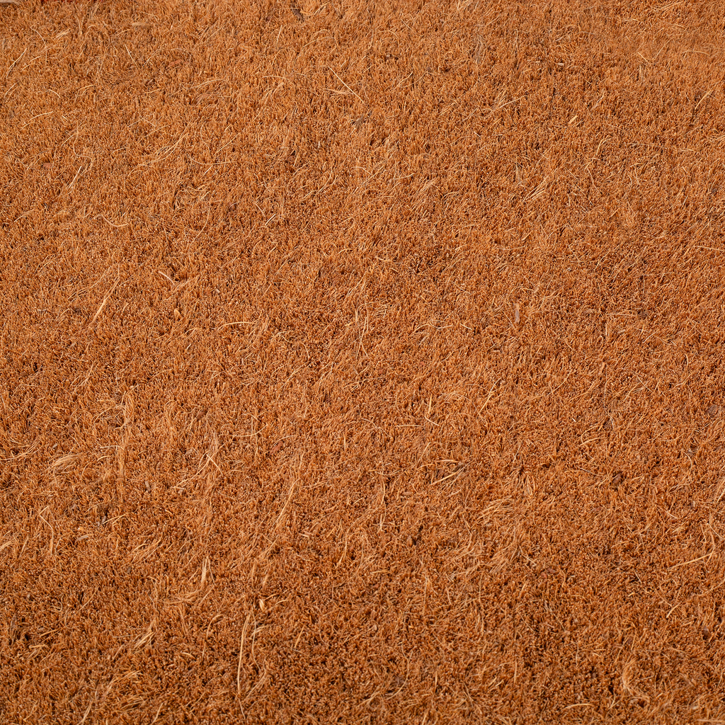 Terracotta Border Natural Coir Doormat