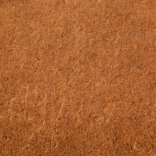 Terracotta Border Natural Coir Doormat
