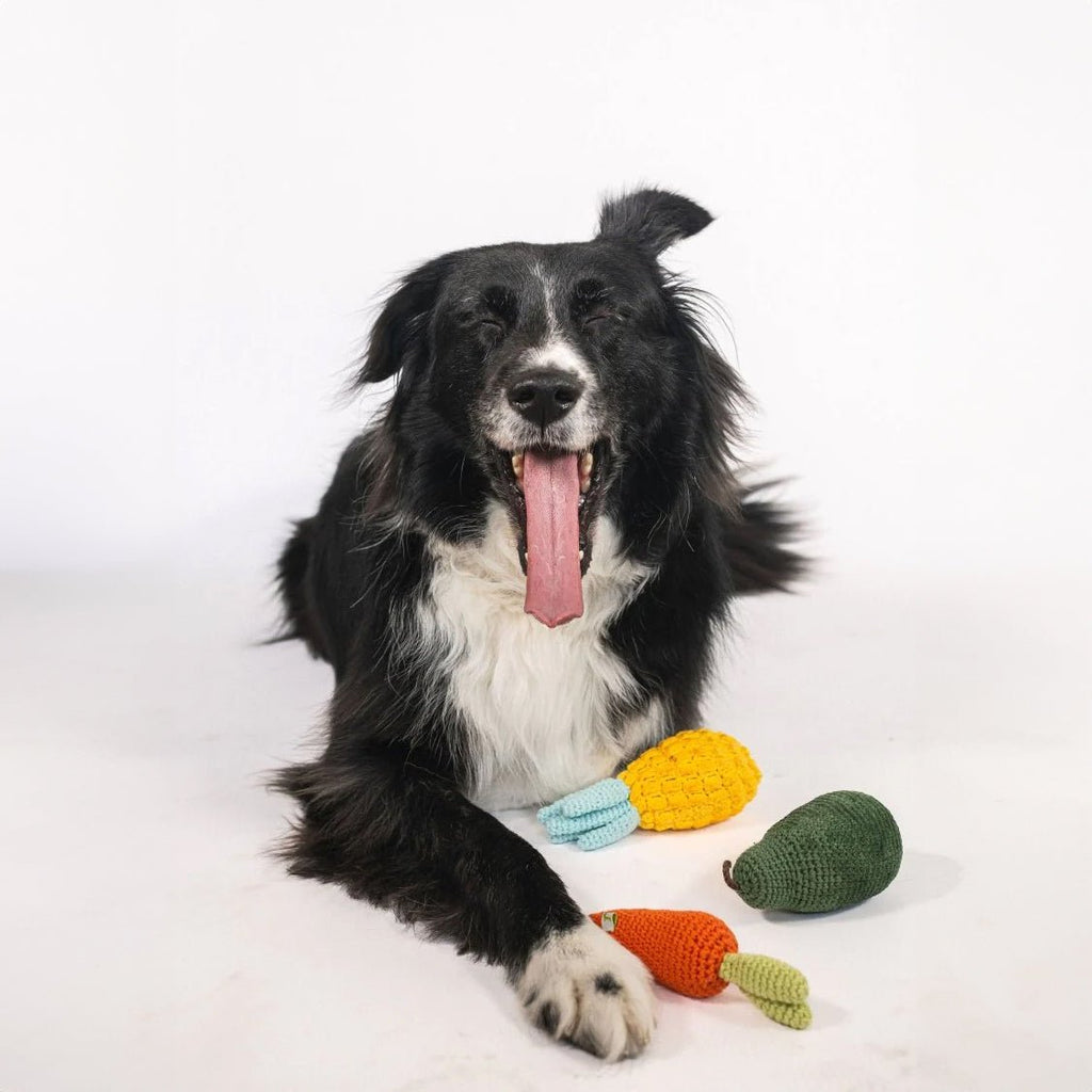 Organic Veggie Dog Toy Bundle | Carrot Pear Pineapple Set