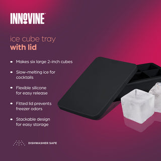 Oversized Ice Cube Tray with Lid