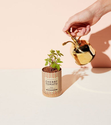 Brass Plant Mister - Herb Planter's Gift - Christmas Gift - Anara Lifestyle