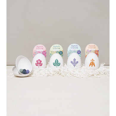Hatch & Grow Seed Kit - Oversized eco - friendly pulp