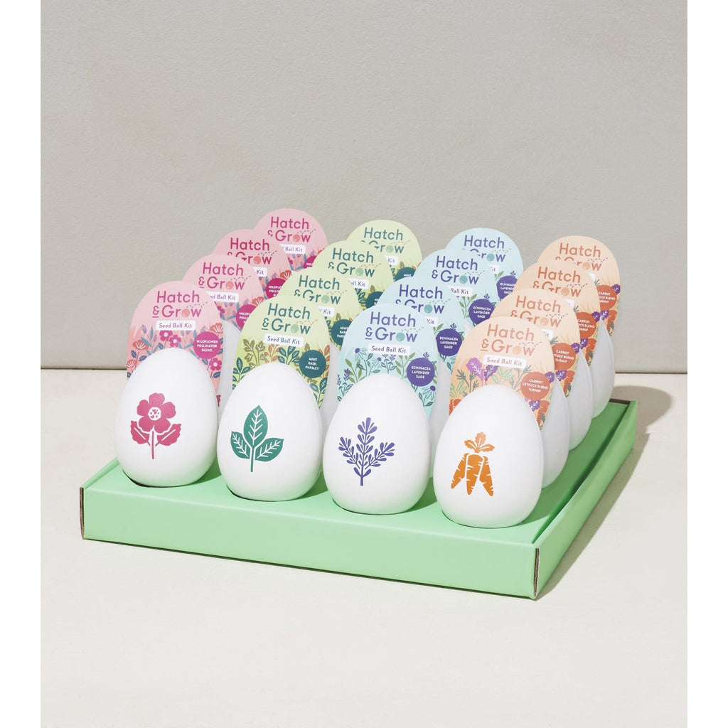 Hatch & Grow Seed Kit - Oversized eco - friendly pulp