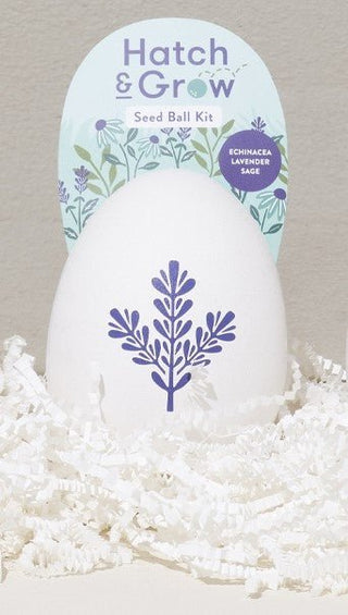 Hatch & Grow Seed Kit - Oversized eco - friendly pulp