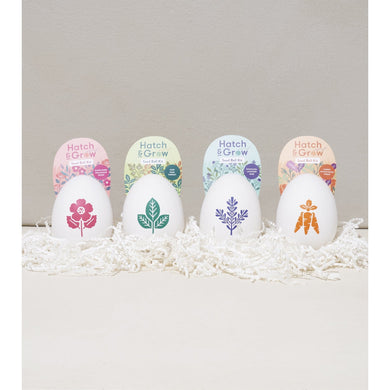 Hatch & Grow Seed Kit - Oversized eco - friendly pulp