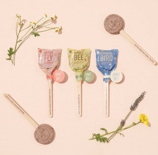 Pollinator Seed Pop - Bee, Hummingbird and Butterfly Assorted Flower Mix - Stocking Stuffers - Anara Lifestyle