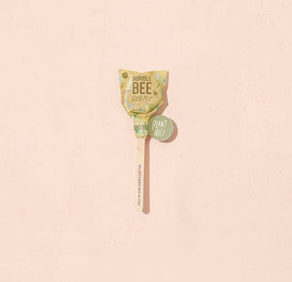 Pollinator Seed Pop - Bee, Hummingbird and Butterfly Assorted Flower Mix - Stocking Stuffers - Anara Lifestyle