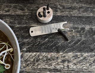 RIVSALT™ Java Long Bean Pepper Refill - Anara Lifestyle