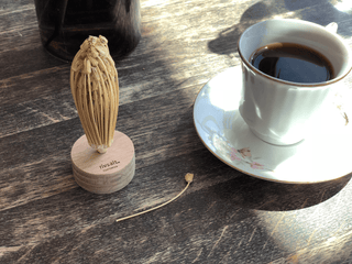 RIVSALT™ Natural Flower Toothpick - Anara Lifestyle