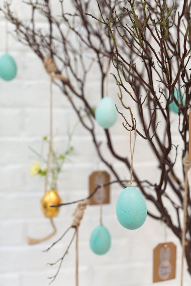 ROBIN EGGS - Anara Lifestyle