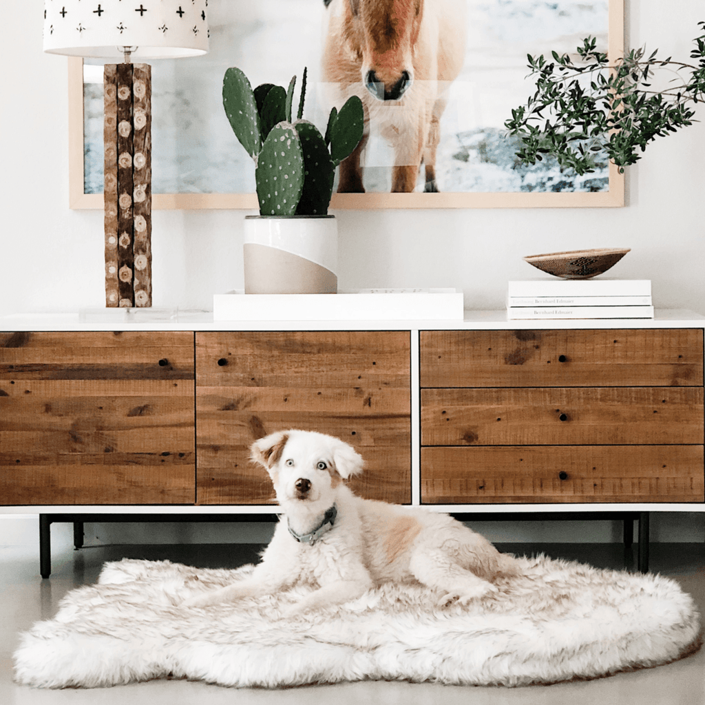 PupRug by Paw.com® Faux Fur Orthopedic Dog Bed – Curve White with Brown Accents