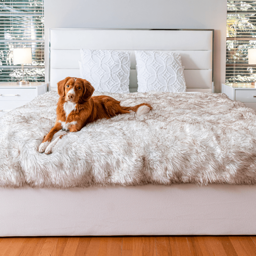 PupProtector™ Waterproof Throw Blanket – White with Brown Accents