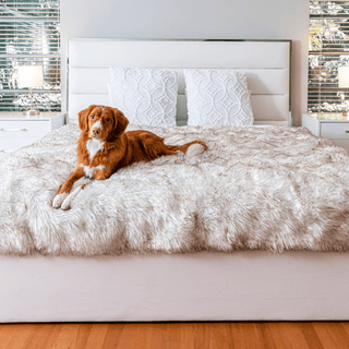 PupProtector™ Waterproof Throw Blanket – White with Brown Accents