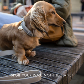 London Vegan Leather Dog Leash 4ft | Sophisticated Saffiano-Inspired Design