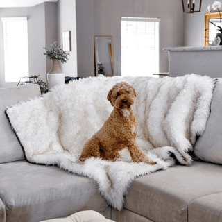PupProtector™ Waterproof Throw Blanket – White with Brown Accents