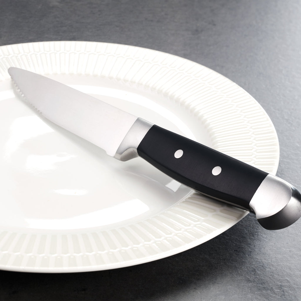 Oneida Jumbo Steak Knives, Set of 4, stainless steel/abs (view 2)