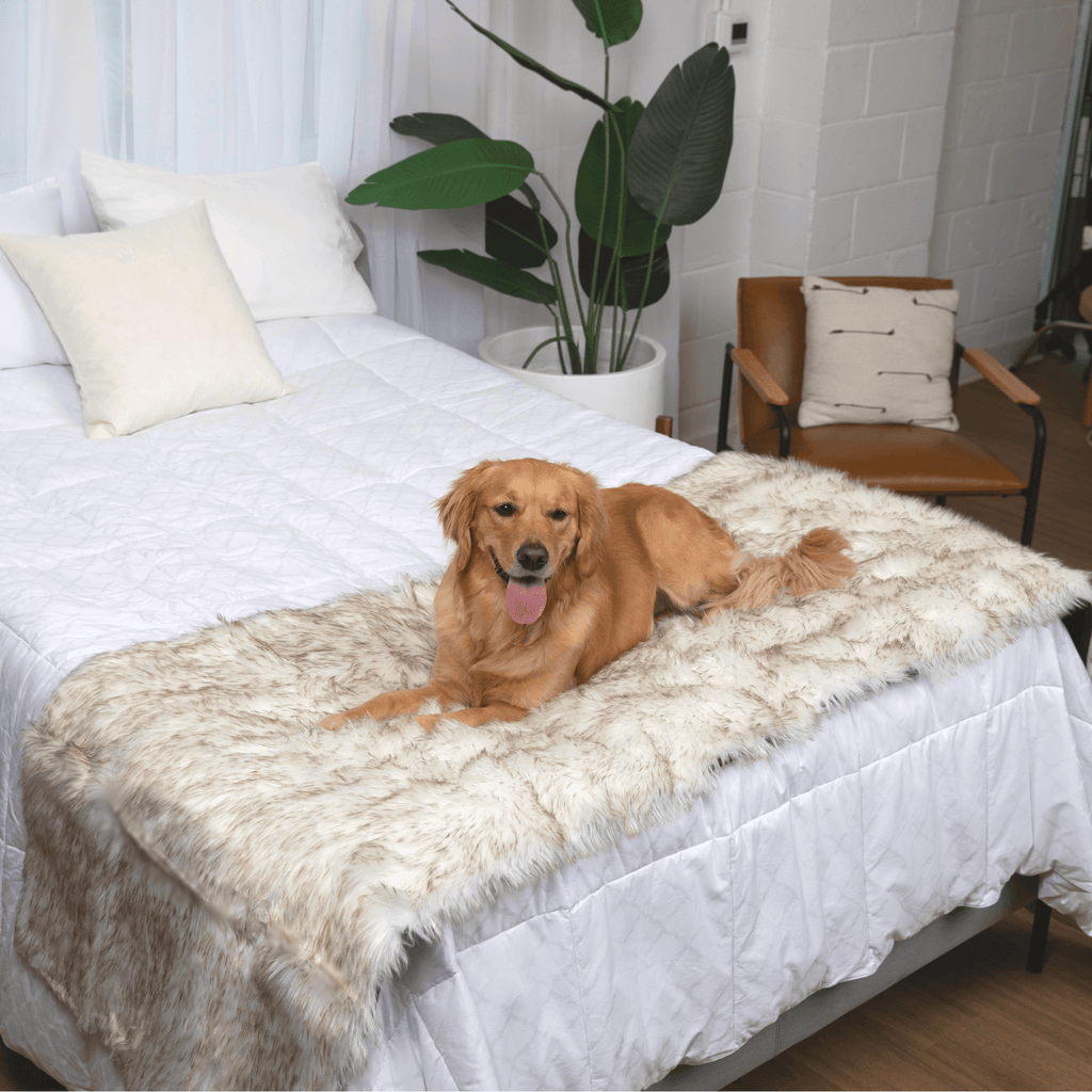 PupProtector™ Waterproof Faux Fur Bed Runner – White with Brown Accents