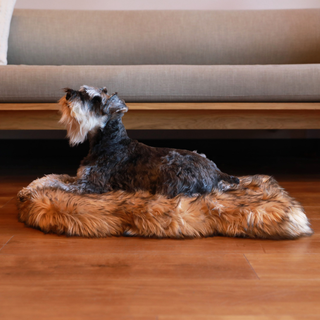 PupRug by Paw.com® Faux Fur Orthopedic Dog Bed – Curve Sable Tan