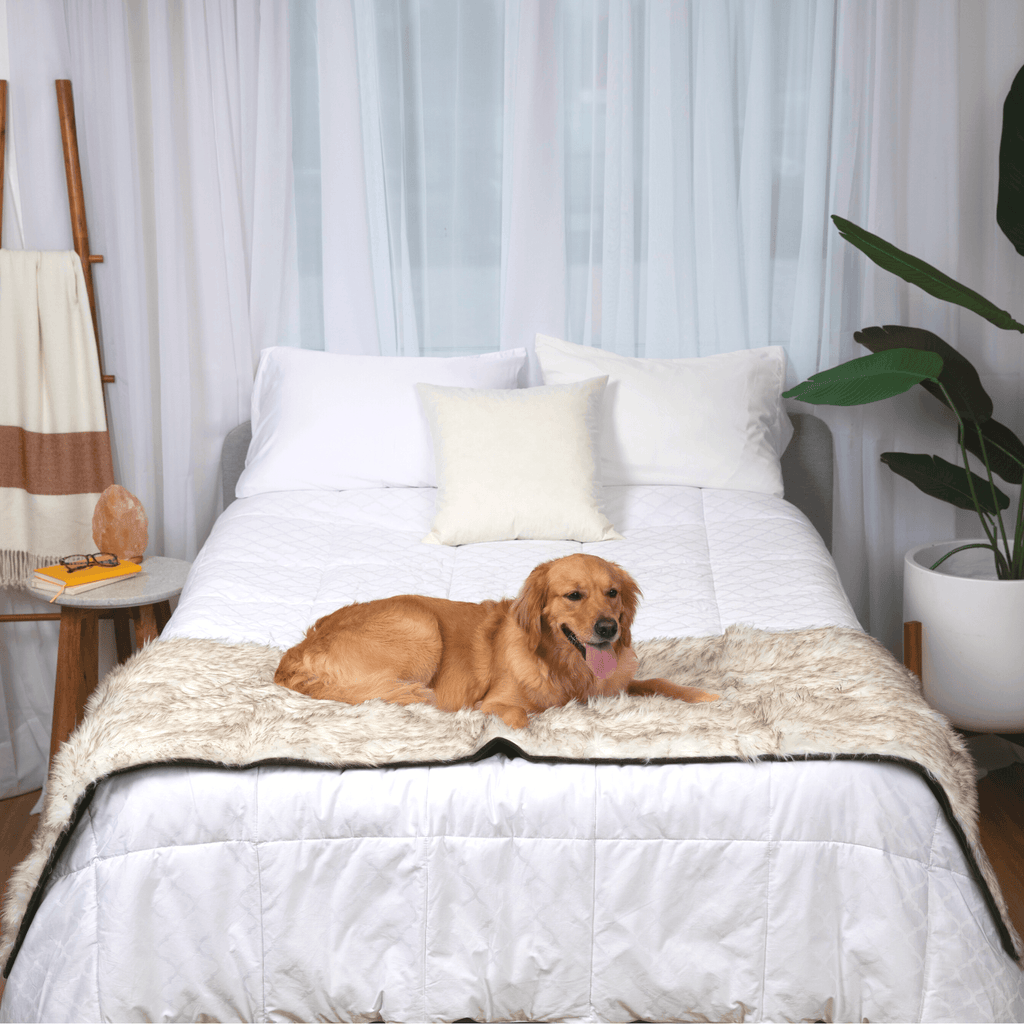 PupProtector™ Waterproof Faux Fur Bed Runner – White with Brown Accents