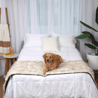 PupProtector™ Waterproof Faux Fur Bed Runner – White with Brown Accents
