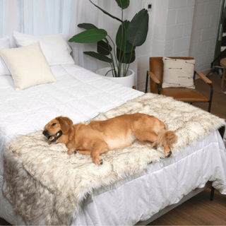PupProtector™ Waterproof Faux Fur Bed Runner – White with Brown Accents