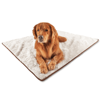 PupProtector™ Summer Short Fur Waterproof Throw Blanket – Polar White