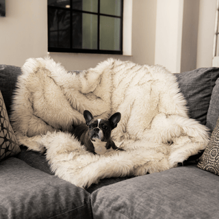 PupProtector™ Waterproof Throw Blanket – White with Brown Accents